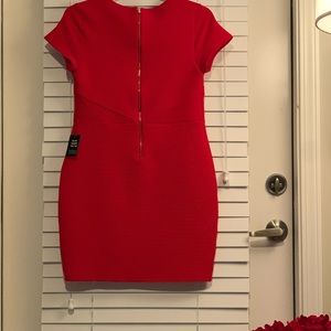 Lady in Red Express Dress